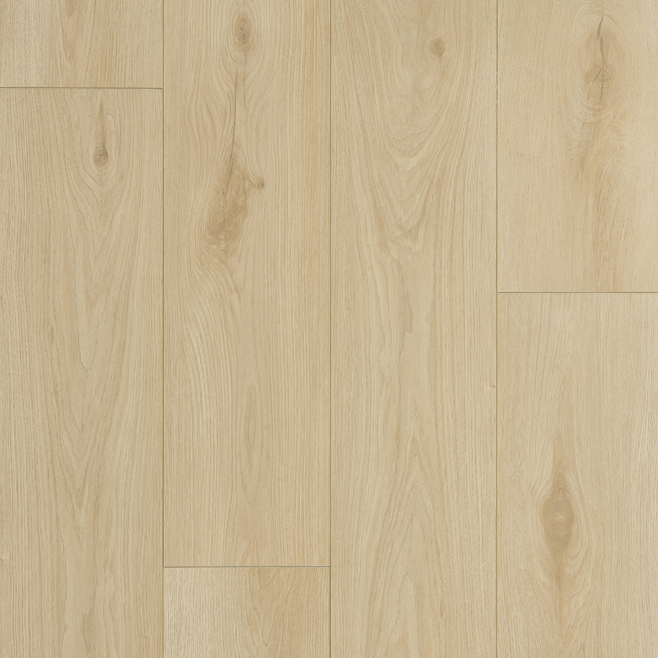 Vinyl Floors