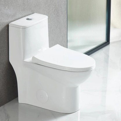 One Piece Toilet Set - Modern Design | Powerful Performance | Easy Maintenance