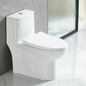 One Piece Toilet Set - Modern Design | Powerful Performance | Easy Maintenance