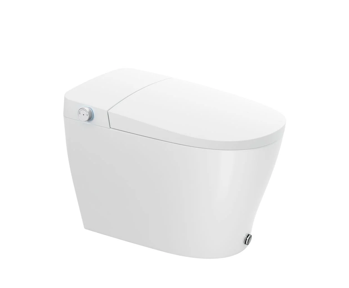 One-Piece Smart Toilet Set - G1W1 - Elongated