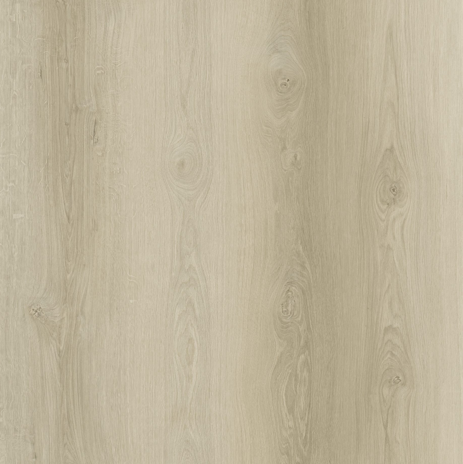 66 Century Mint Vinyl Floor
